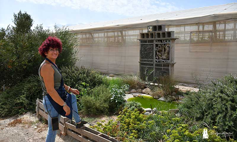 Hoteles para bichos, fauna auxiliar. Esther Molina. /agroautentico.com