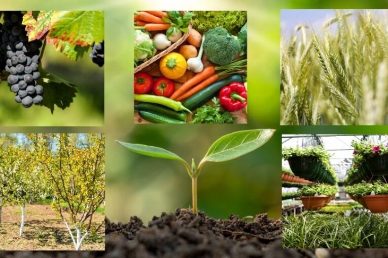 Seipasa presenta la nueva línea nutricional BioActive certificada en ecológico