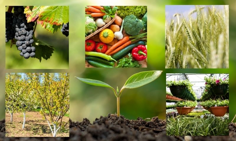Seipasa presenta la nueva línea nutricional BioActive certificada en ecológico