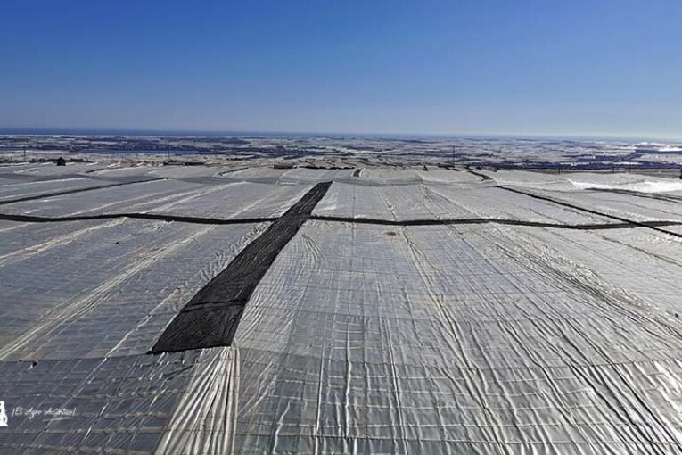 Inversolar, 25 y 26 de noviembre: II Congreso Internacional del Invernadero Solar