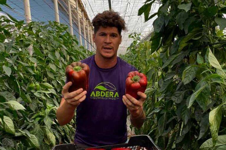 ‘Bernabé’ anima a secundar el paro del día 8