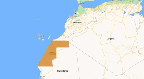 Sahara Occidental. /agroautentico.com