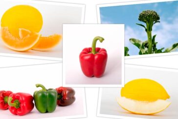'Vegetables by Bayer' se presenta en la vuelta de Fruit Attraction
