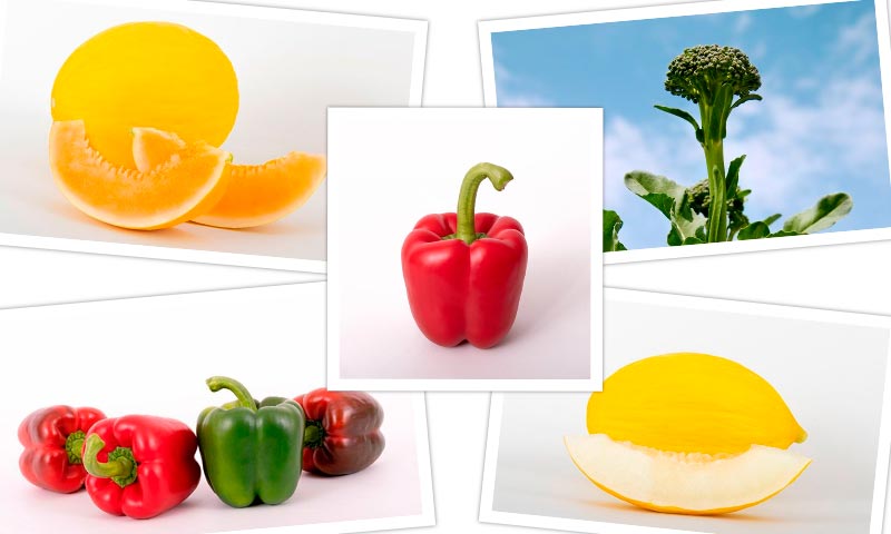 ‘Vegetables by Bayer’ se presenta en la vuelta de Fruit Attraction