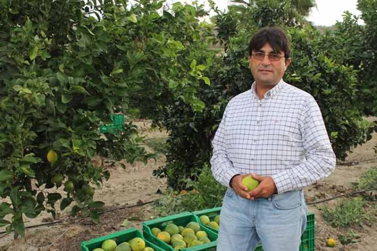 Asaja Alicante denuncia que la gran distribución se aprovisiona de Sudáfrica