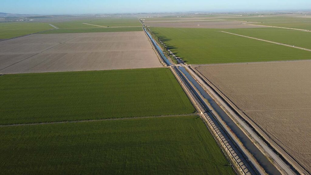 El río de la vida cobija 36.000 hectáreas de arroz en Sevilla (vídeo)