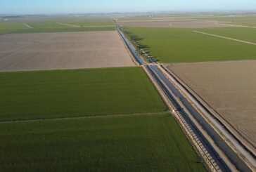 El río de la vida cobija 36.000 hectáreas de arroz en Sevilla (vídeo)