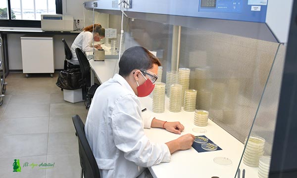 Área de laboratorio del centro de I+D de Bayer en San Nicolás. /agroautentico.com