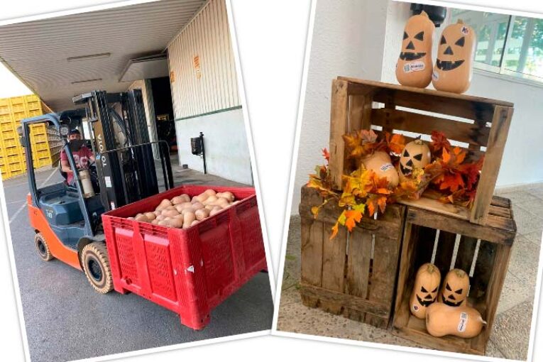 Sakata reinventa para Halloween la calabaza producida en España
