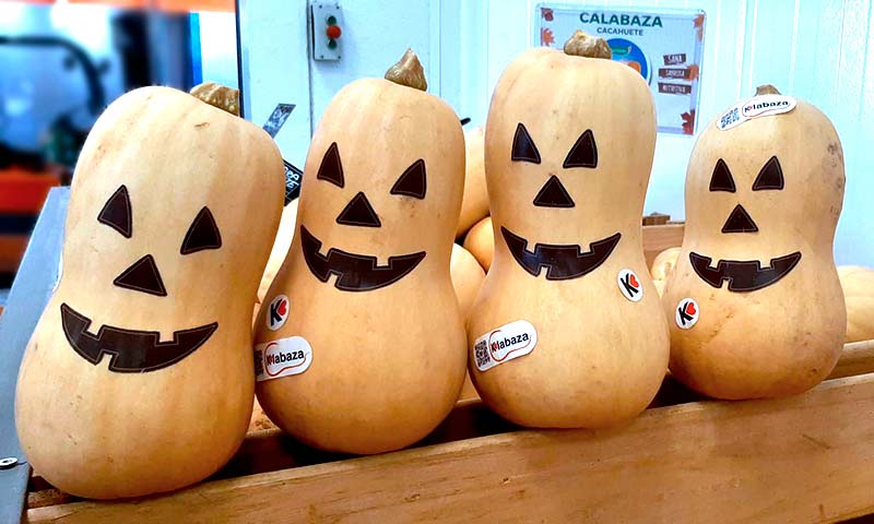 Halloween se reinventa con la calabaza cultivada en España para decorar, consumir y luchar así contra el desperdicio alimentario-agroautentico.com