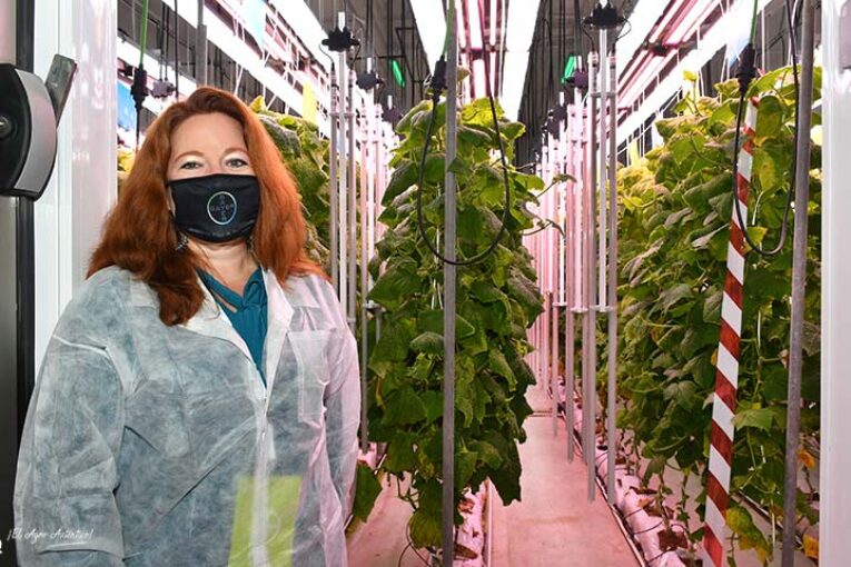 Bayer acelera el desarrollo de variedades en su nuevo centro de I+D de San Nicolás