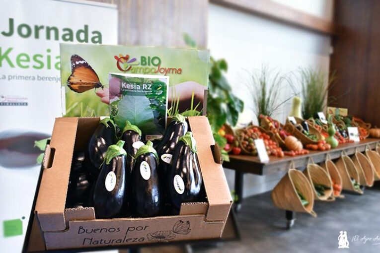 Rijk Zwaan y Campojoyma se alían para reinventar la berenjena con Kesia