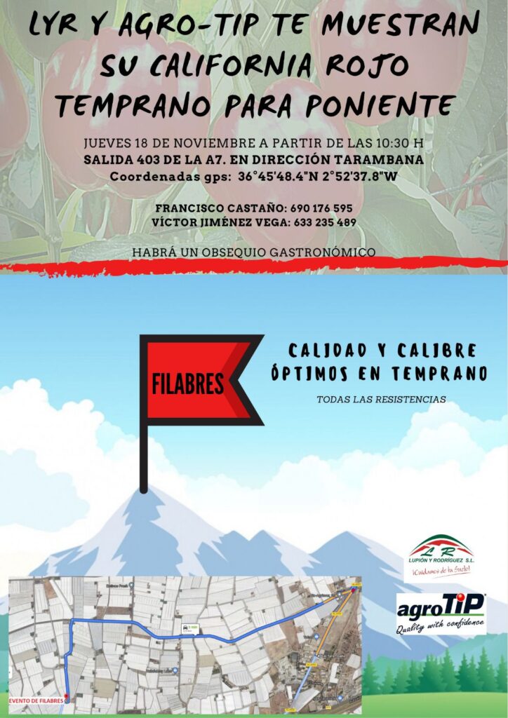 Pimiento california rojo Filabres
