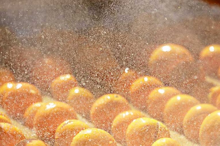 Intercitrus denuncia la “grave pérdida de crédito” de la UE por los cítricos turcos