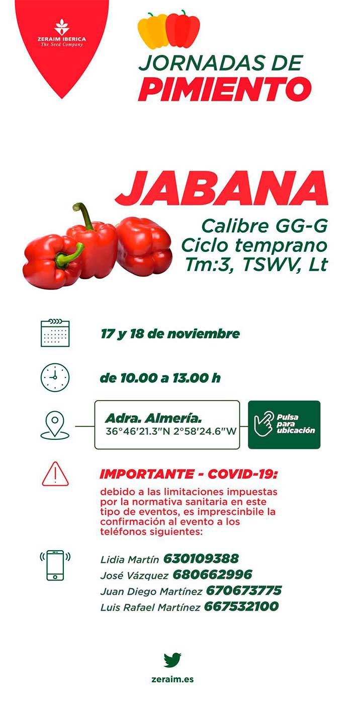 Pimiento Jabana de Zeraim-agroautentico.com