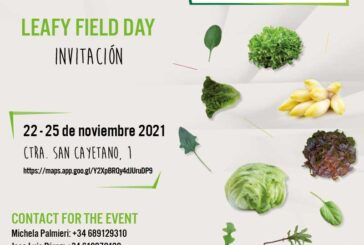 Del 22 al 25 de noviembre. Leafy Field Day de Vilmorin