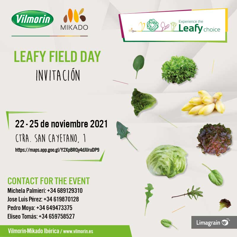 Del 22 al 25 de noviembre. Leafy Field Day de Vilmorin