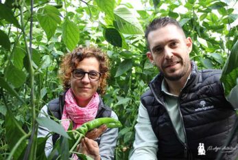 Casos prácticos del uso de bacterias y hongos en suelos agotados y salinos