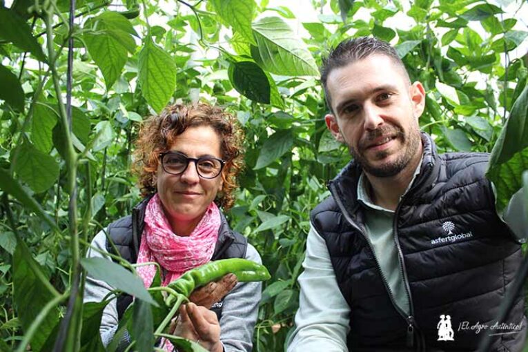Casos prácticos del uso de bacterias y hongos en suelos agotados y salinos
