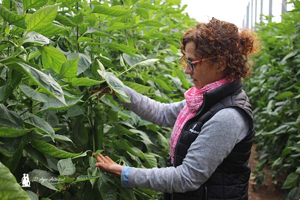 Manoli Joya, técnica de Lupión y Rodríguez. / agroautentico.com