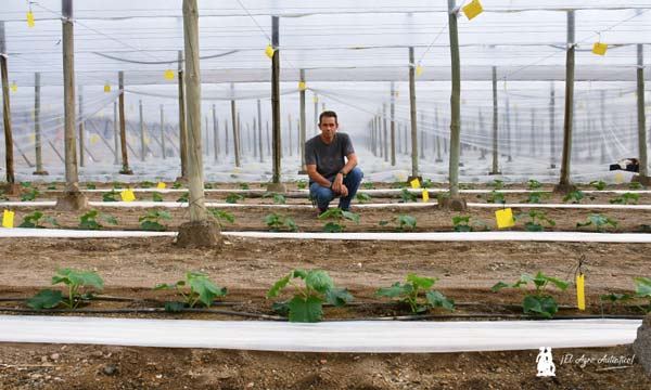 José Antonio Fernández Aguilera, agricultor almeriense. / agroautentico.com