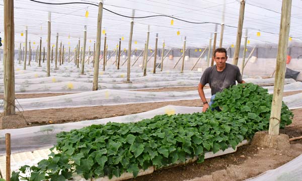 José Antonio Fernández Aguilera, agricultor almeriense. /agroautentico.com