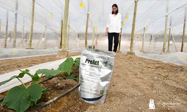 ProAct, bioactivador fisiológico (bioestimulante) de Plant Health. /agroautentico.com