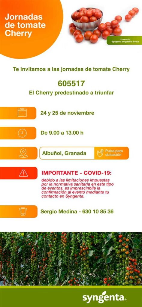 Tomate cherry de Syngenta - agroautentico.com