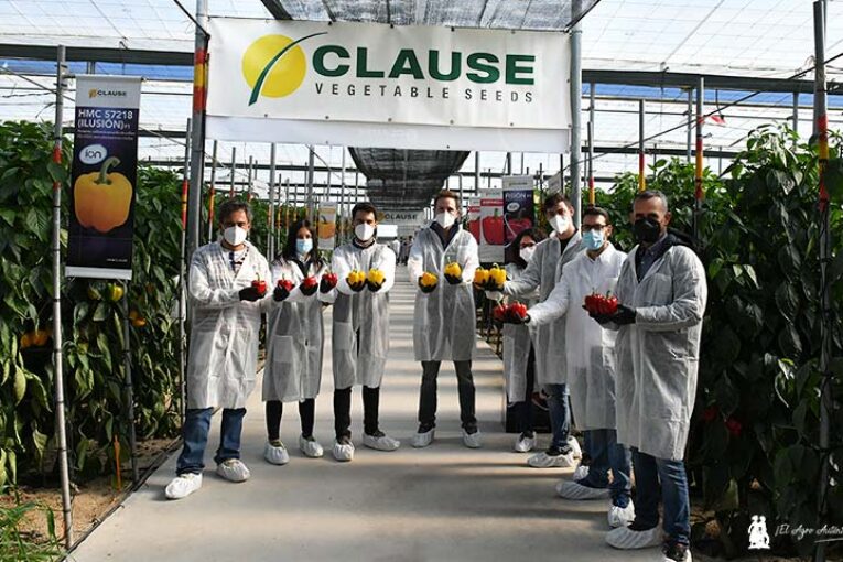 Las variedades con resistencias renuevan el catálogo de pimiento de HM.Clause