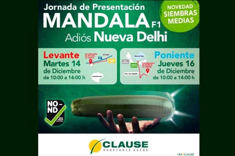 Días 14 y 16 de diciembre. Jornada de calabacín Mandala
