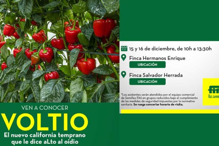 Días 15 y 16 de diciembre. Jornadas de pimiento de Fitó