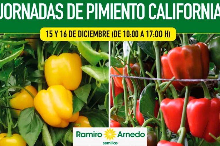 Días 15 y 16 de diciembre. Jornadas de pimiento de Ramiro Arnedo