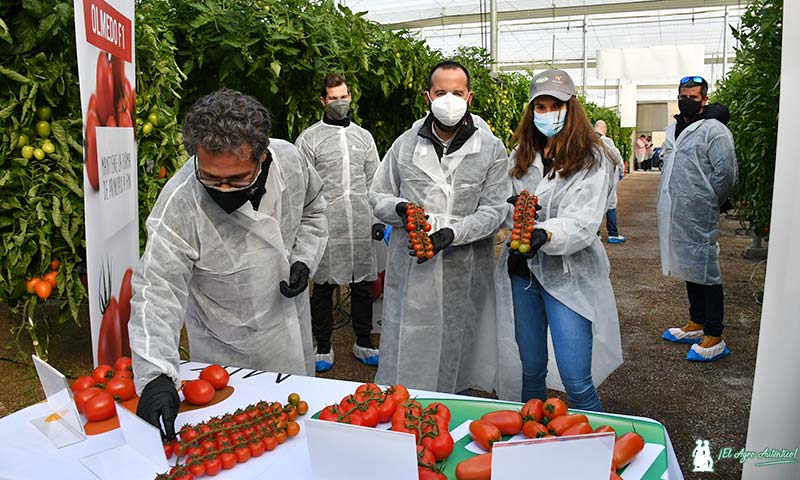 Manuel Ruiz Ayala con su compañera Pauline Auclair, asistente jefa de producto de tomate de Vilmorin en Francia. / agroautentico.com