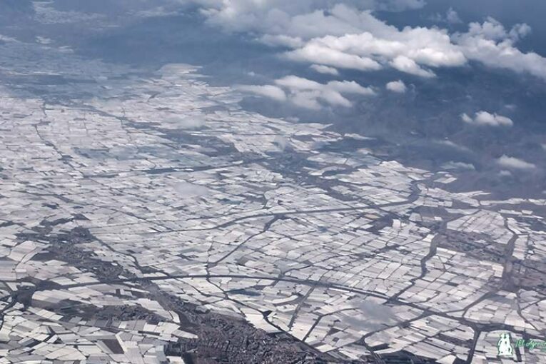32.554 hectáreas en Almería. Informe Cajamar de la última campaña