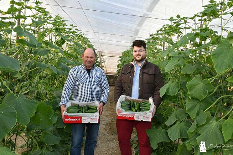 La última visita del año con el pepino mini de Naturinda
