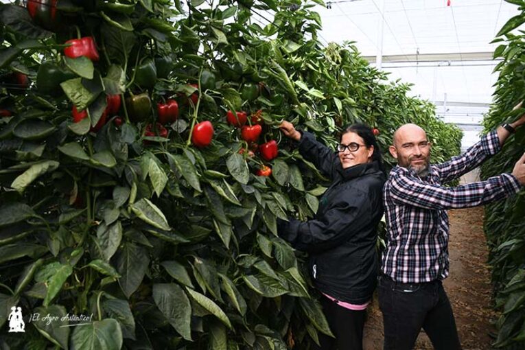 Fitó se estrena en california rojo en Almería