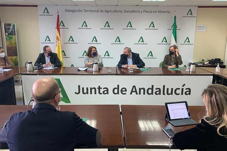 La extensión para retirar las segundas, más cerca