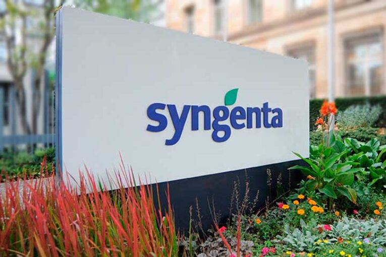 El catálogo de Zeraim se comercializará bajo la marca Syngenta