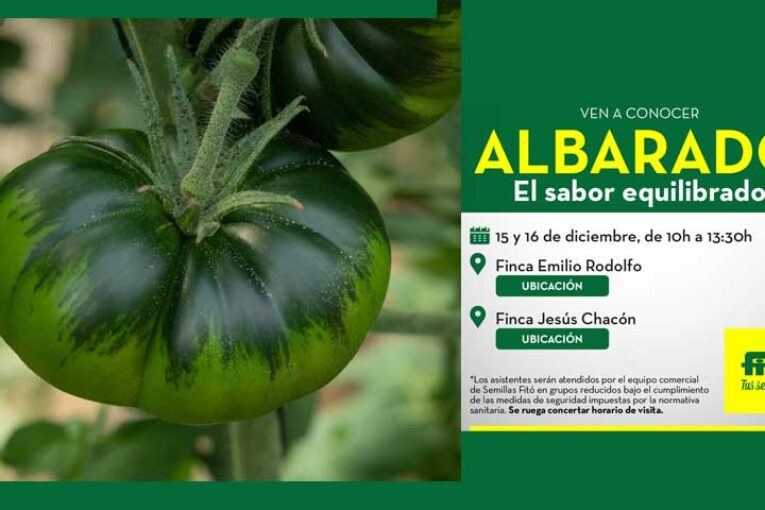 Días 15 y 16 de septiembre. Jornada de tomate de Fitó