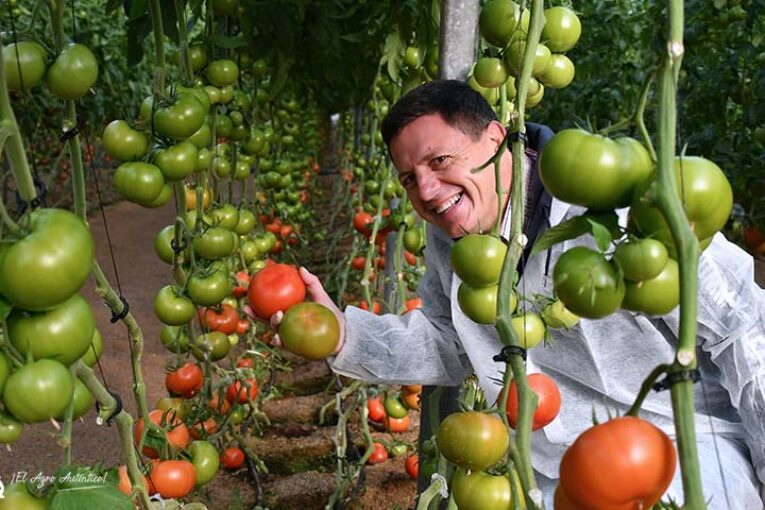 Rijk Zwaan en tomate suma y sigue