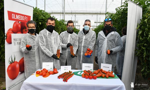 Jornadas de tomate de Vilmorin en el campo de Níjar (Almería). / agroautentico.com