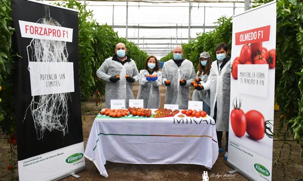 Miembros del equipo de Vilmorin en la vitrina de tomate. / agroautentico.com