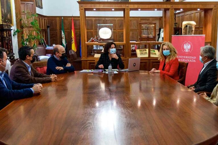 Universidad de Granada y Vellsam investigarán el efecto de las hortalizas frente al cáncer