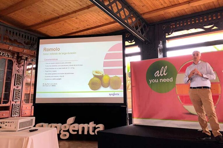 Nuevos melones como Cencibel ideales para el corte en tienda