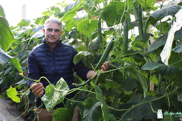 El último pepino vikingo para Almería y Granada se llama Erico