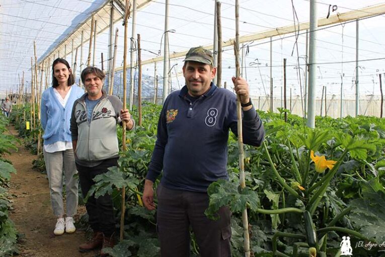 ProAct en los tropicales y hortícolas de invernadero de Vélez-Málaga