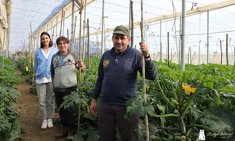 ProAct en los tropicales y hortícolas de invernadero de Vélez-Málaga