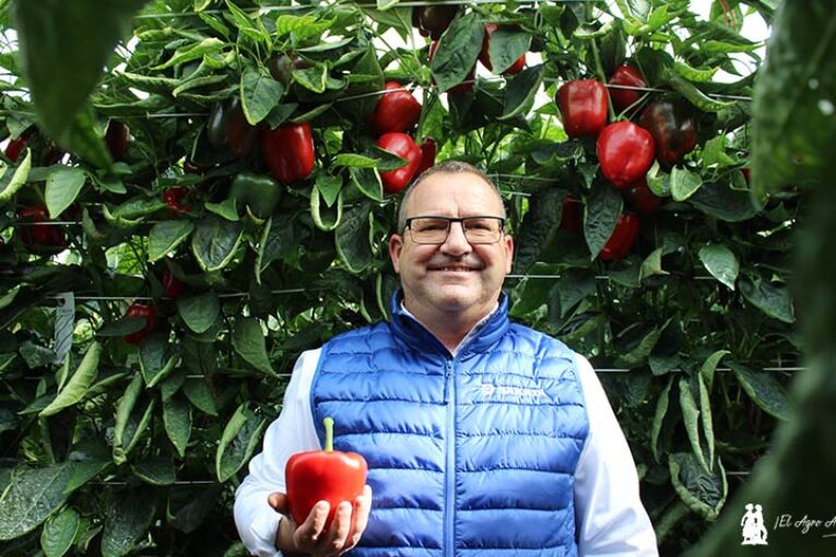Sibac es el pimiento para junio de Sakata