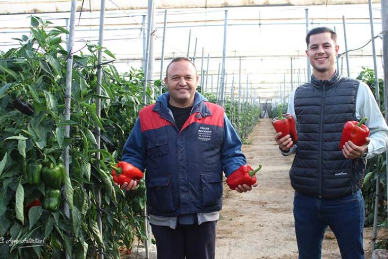 Aguante y corte en rojo definen al lamuyo Esopo de Meridiem
