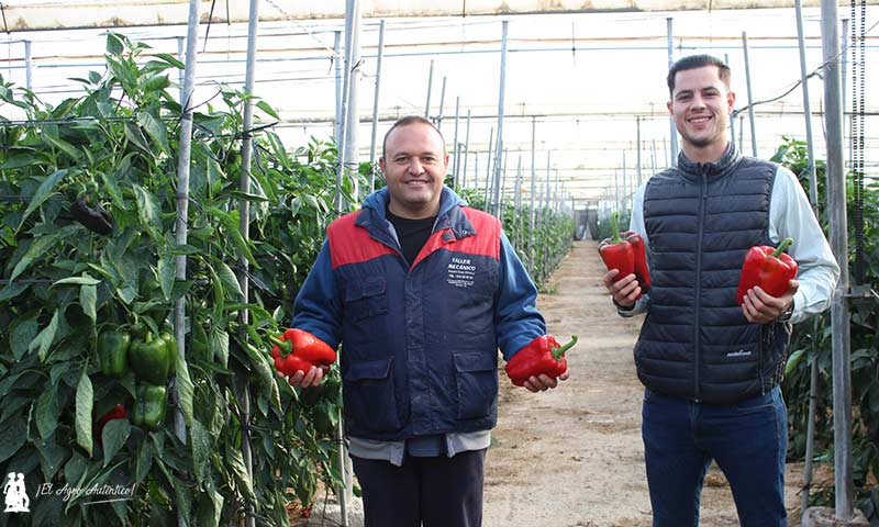 Manolo Ruiz, agricultor roquetero, y Adrián García, Meridiem Seeds. / agroautentico.com